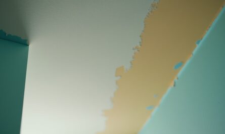 Peinture de plafond pour salle de bain : guide complet pour un rendu durable et impeccable